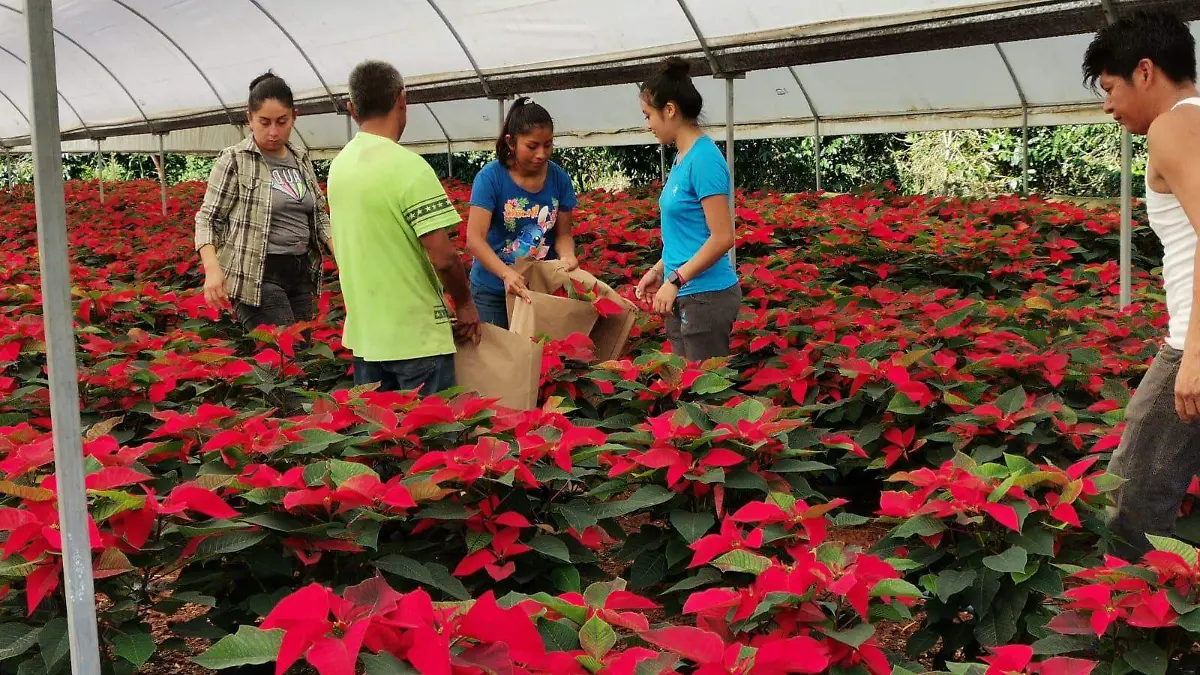 VIVERO HUEYTAMALCO 01 Guillermo Mundo